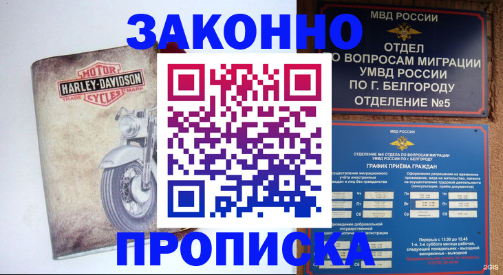 прописка для школы в Курганской области